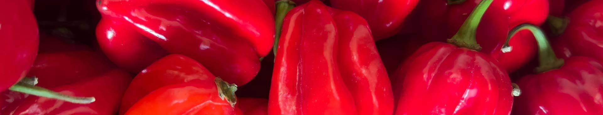 Habanero - One Stop Chilli Shop